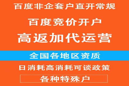 成功案例揭秘：百度包年竞价如何助力企业增长